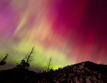 The Northern Lights fill the sky at the Bogus Basin ski resort in Boise, Idaho, on Saturday. (Kyle Green/AP)
