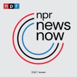 NPR News Now logo