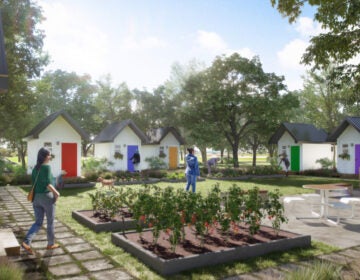 A rendering of the Sanctuary Village project