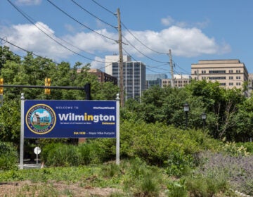 Wilmington, Del. (Kimberly Paynter/WHYY)