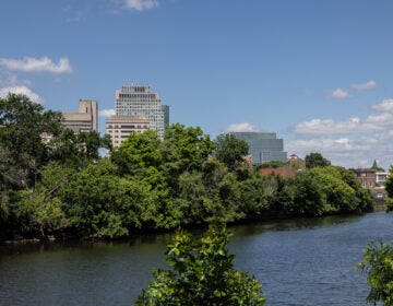 View of the Wilmington skyline