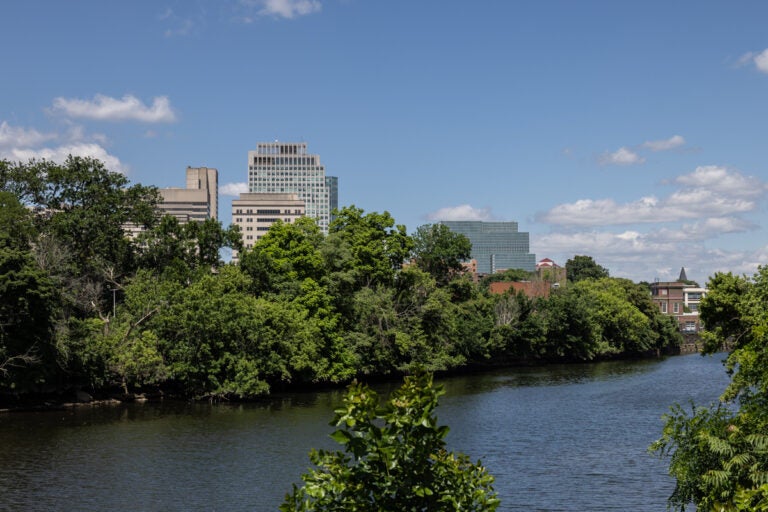 View of the Wilmington skyline