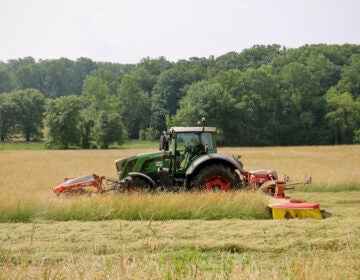 a tractor mows a field for hay