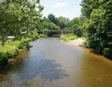 east-brandywine-creek-k-cooper-2024-06-25-5 A view of a small creek with a bridge going over it.