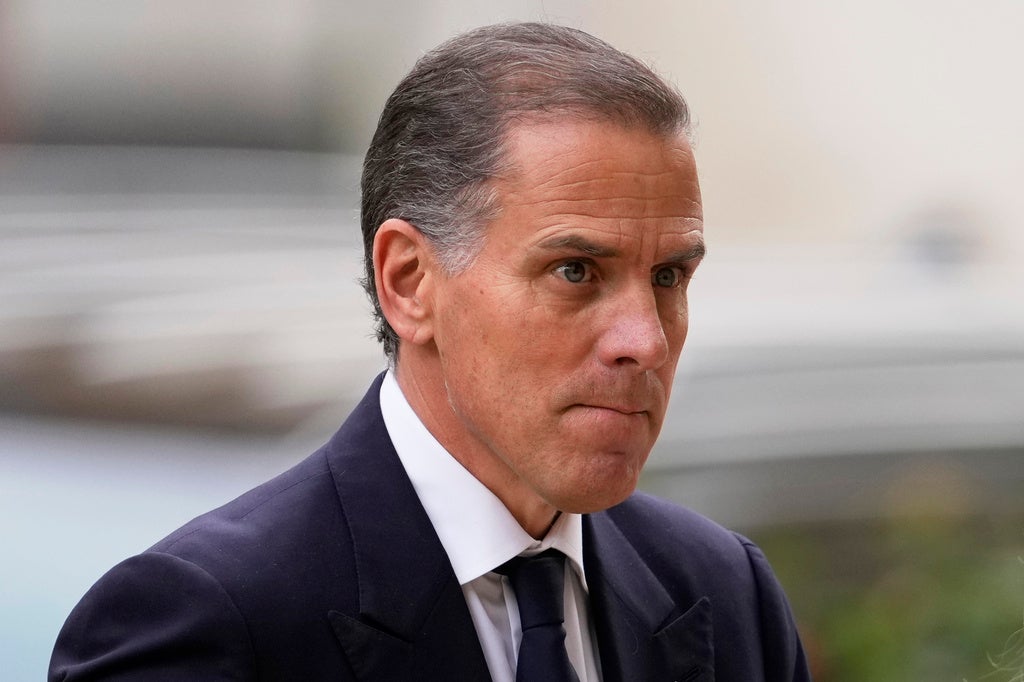 Hunter Biden's federal gun charges conviction: What's next?