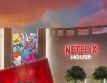 rendering of Netflix House