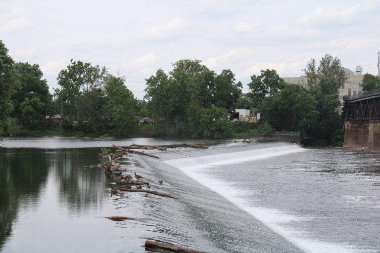 the Schuylkill River