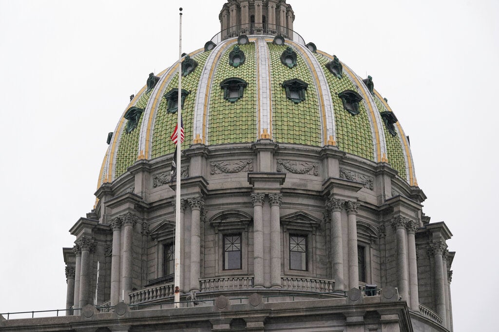 Pa. State Capitol crow dispersal program starts Monday - WHYY