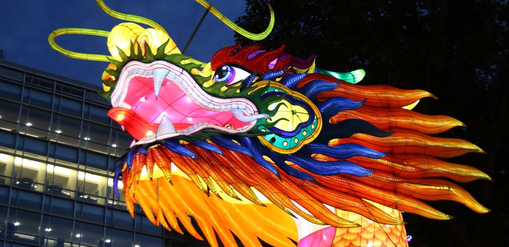 The head of the 164-foot-long dragon at the Chinese Lantern Festival was installed with a 15-person crew. (Cory Sharber/WHYY)