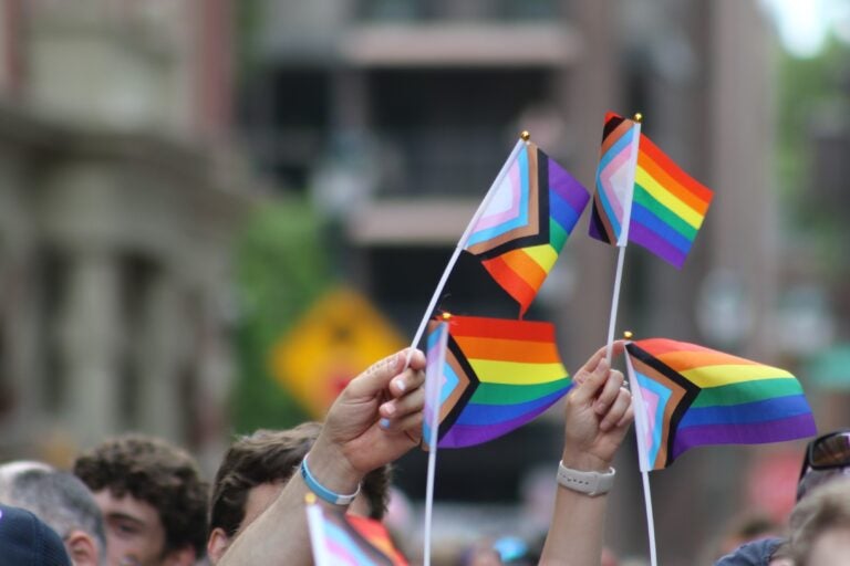 Attendees holding Pride flags