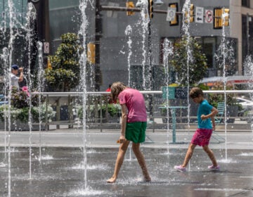 children playing in a sprayground