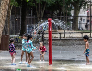 children playing in a sprayground