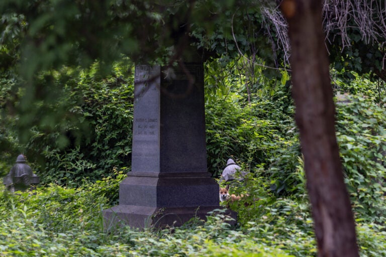 Mount Vernon Cemetery