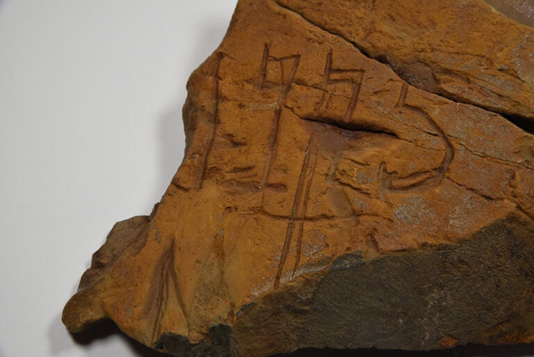 A close-up of a rock found inside a cave in Buckingham Township. The 