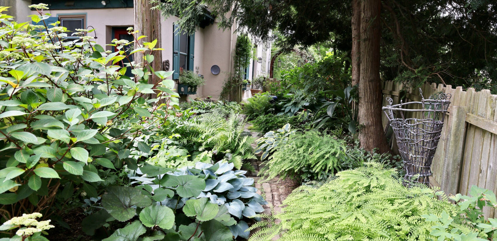 Syd Carpenter's home and garden in Mount Airy.