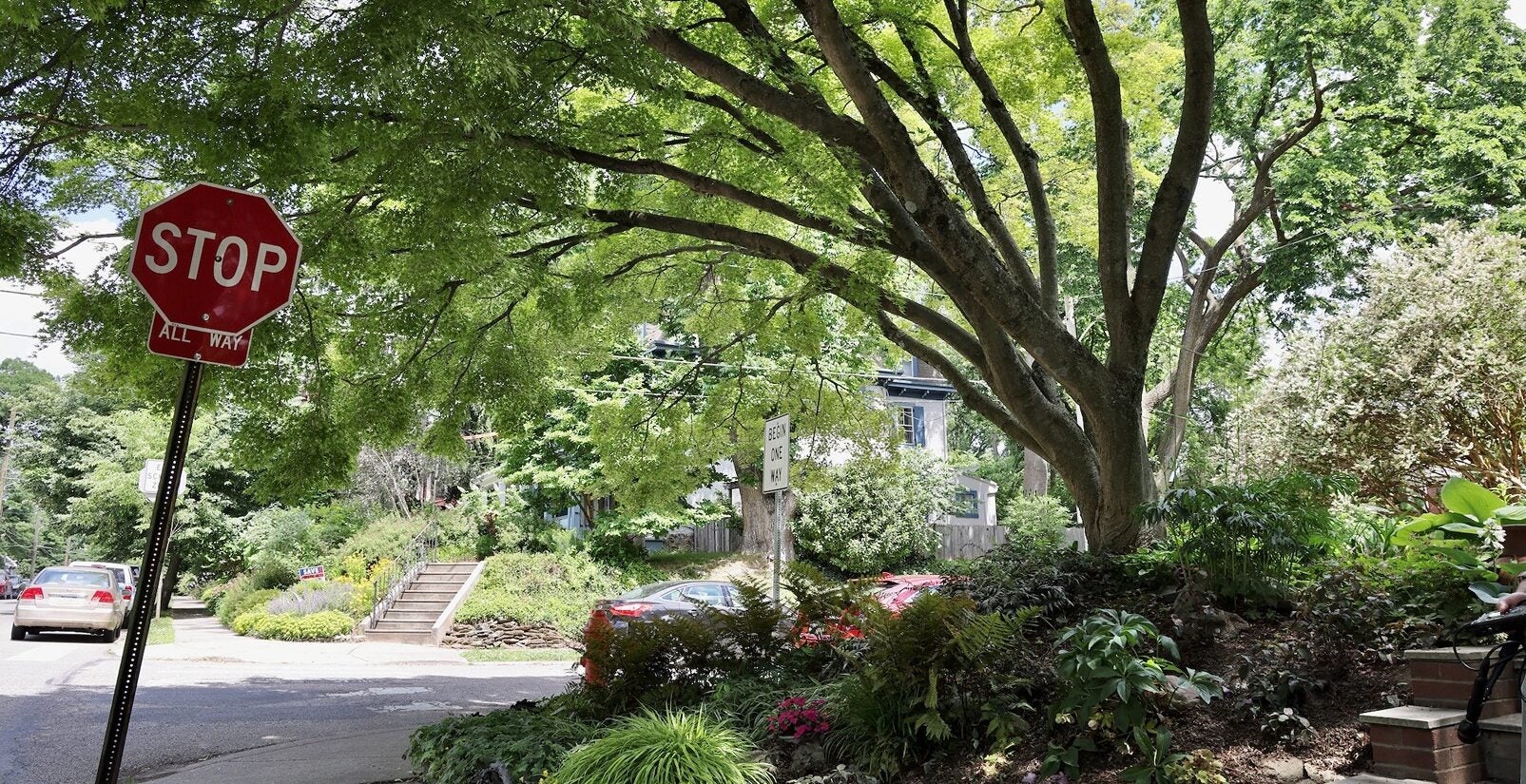 Syd Carpenter's garden covers her whole property and extends to the sidewalks in her neighborhood in Mount Airy