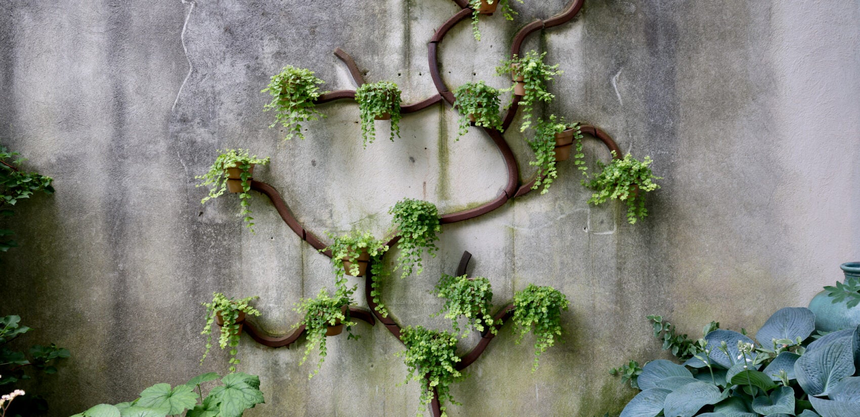 Syd Carpenter's garden is adorned with sculptures