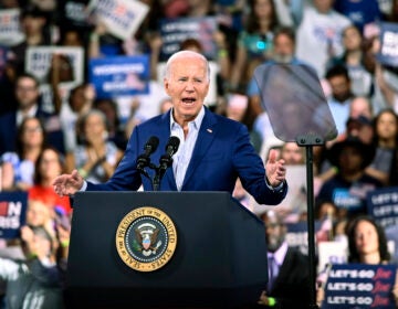 President Joe Biden speaks at a campaign rally in Raleigh, N.C., Friday, June. 28, 2024. (AP Photo/Matt Kelley)