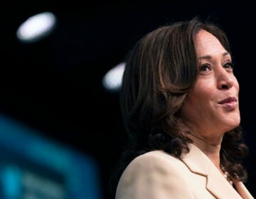 Vice President Kamala Harris speaks to the National Association of Counties (NACo), in Oxon Hill, Md., Friday, July 9, 2021. (AP Photo/Jacquelyn Martin)