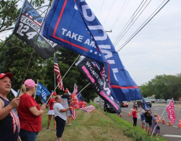 People stand in the grass on the side of the road holding flags supporting Donald Trump for president
