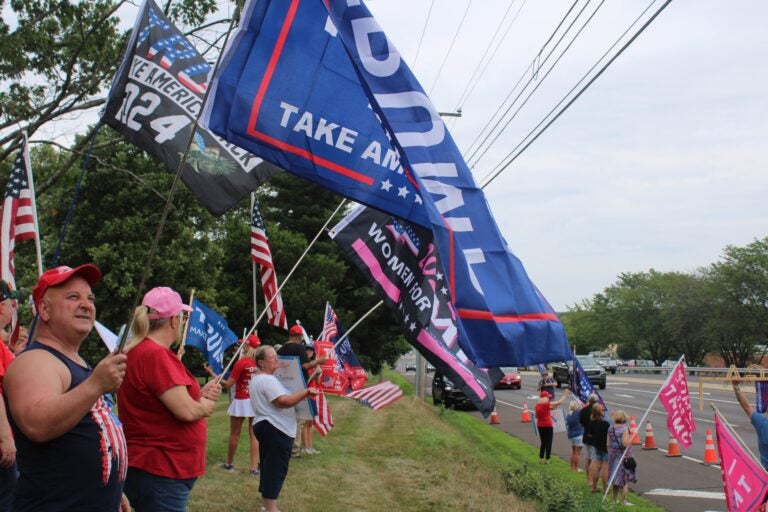 People stand in the grass on the side of the road holding flags supporting Donald Trump for president