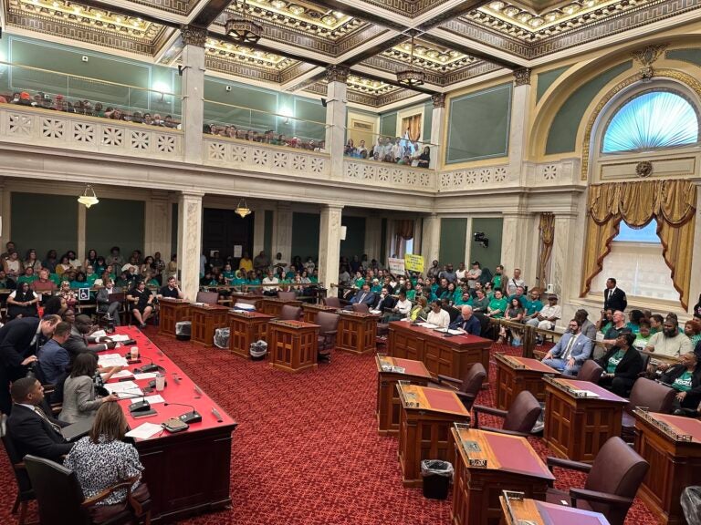 City Council hearing