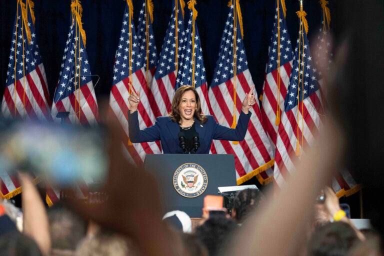 Vice President Kamala Harris campaigns for president as the presumptive Democratic candidate during an event at West Allis Central High School, Tuesday, July 23, 2024, in West Allis, Wis. (AP Photo/Kayla Wolf)