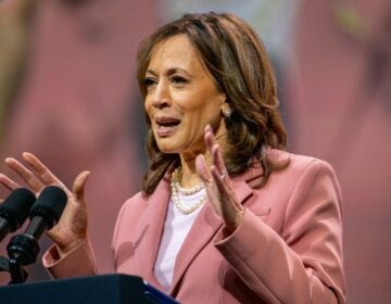 Vice President Kamala Harris speaks to members of the Alpha Kappa Alpha Sorority at the Kay Bailey Hutchison Convention Center on July 10 in Dallas. (Brandon Bell/Getty Images)