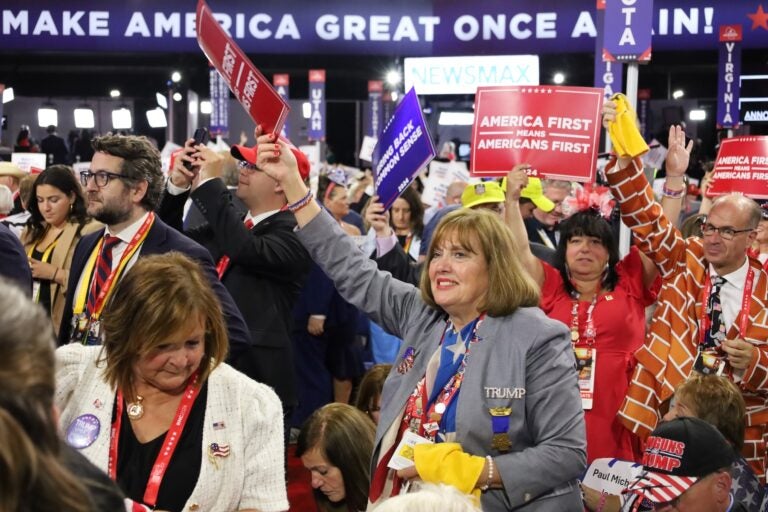 Delegates and supporters cheer at the convention