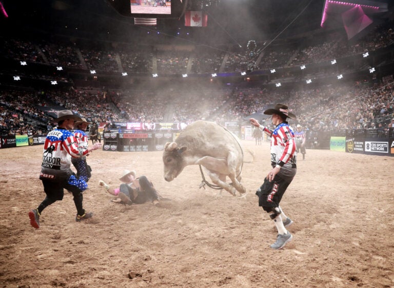 Bull riders at a rodeo