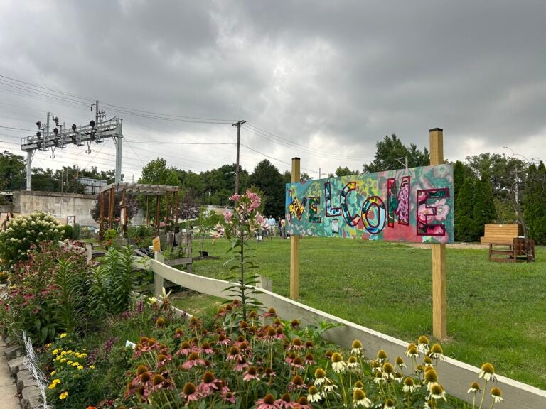 EPA officials visited Tioga-Hope Park and Garden in North Philadelphia Wednesday to learn about the community's environmental priorities. (Sophia Schmidt/WHYY)