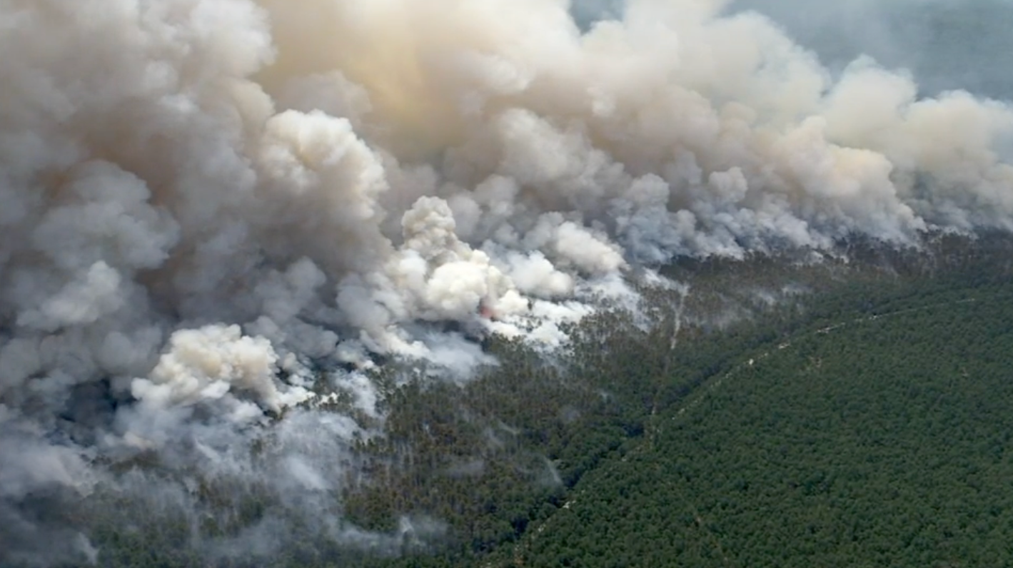 Forest fire burns 4,000 acres in N.J. but is now 65% contained, officials say