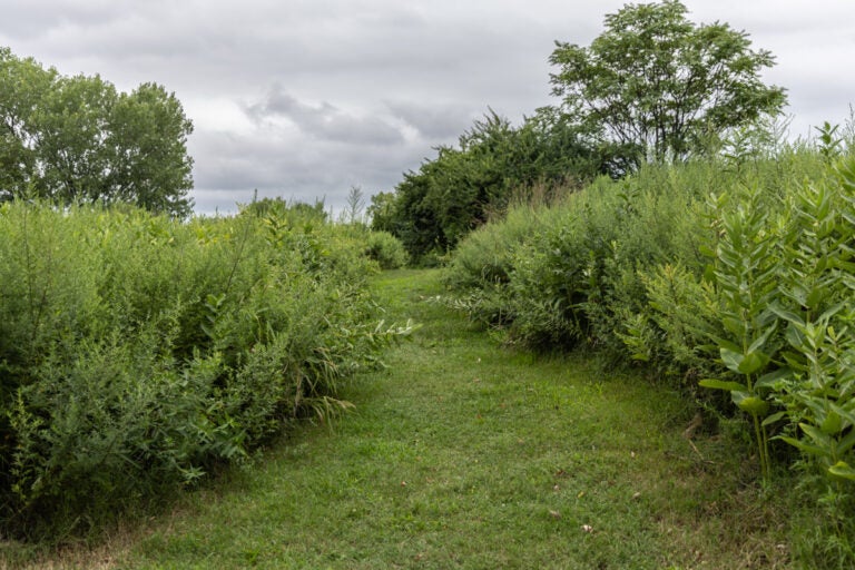 Part of the Bartram’s Garden trail in Philadelphia.