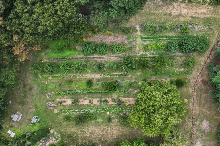 Philadelphia Orchard Project