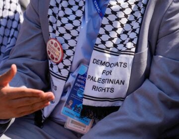 an up-close shot of a delagate shows a scarf reading DEMOCRATS FOR PALESTINIAN RIGHTSS and a pin reading CEASEFIRE DELEGATE