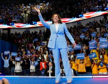 Vice President Kamala Harris waves during a campaign rally