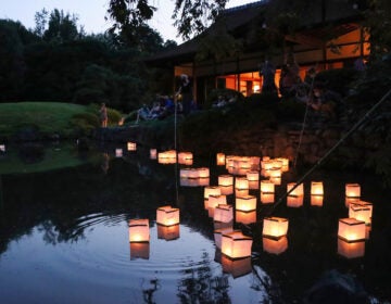 Japanese paper lanterns float on the water with candles lit inside them