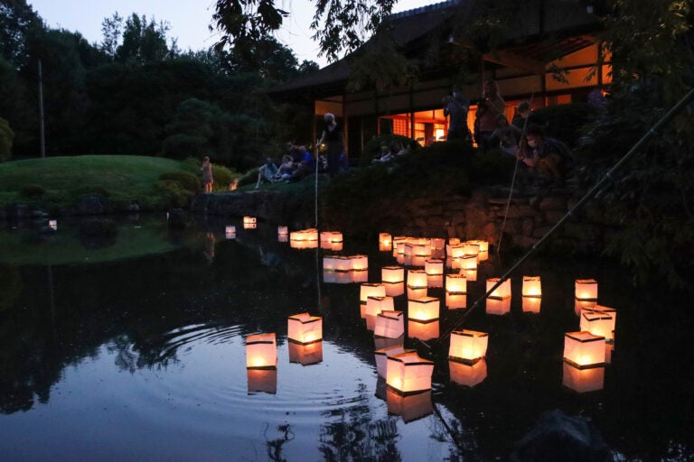 Japanese paper lanterns float on the water with candles lit inside them