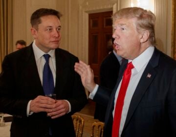 Donald Trump and Elon Musk