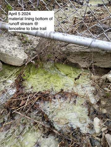 A yellowish-green puddle at Bartram's Gardens in Philadelphia