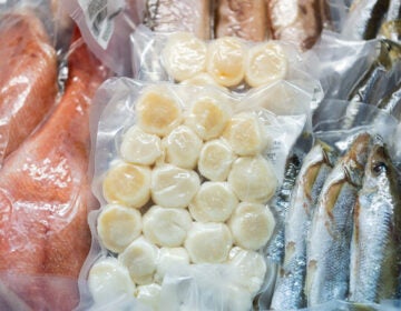 Frozen fish in a commercial freezer. Different river fish, fish cakes, sea bass.