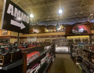 Ammo section of the store