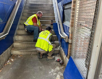 SEPTA workers rescue cats from behind a stairwell