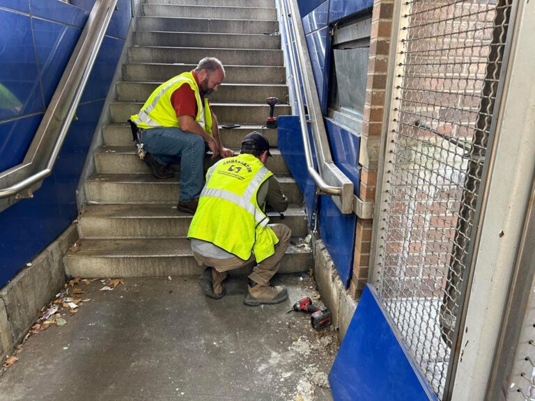 SEPTA workers rescue cats from behind a stairwell