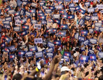 Excited supporters in the crowd at the Harris rally