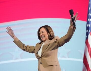 Democratic presidential nominee Vice President Kamala Harris speaks during the Democratic National Convention Monday, Aug. 19, 2024, in Chicago. (AP Photo/Erin Hooley)