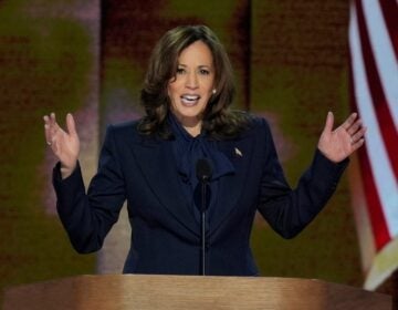 Democratic presidential nominee Vice President Kamala Harris speaks during the Democratic National Convention Thursday, Aug. 22, 2024, in Chicago. (AP Photo/J. Scott Applewhite)