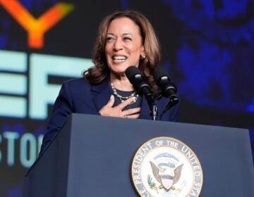 Vice President Kamala Harris delivers remarks at a Sigma Gamma Rho Sorority gathering in Houston, July 31, 2024, in Houston.