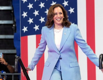 Vice President Kamala Harris arrives to speak during a campaign rally, July 30, 2024, in Atlanta.