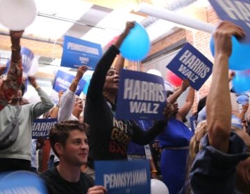 attendees hold Harris Walz signs and cheer